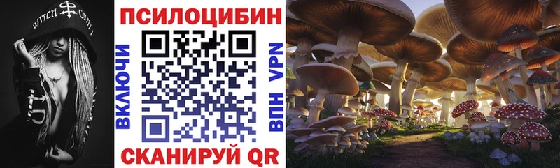 Галлюциногенные грибы MAGIC MUSHROOMS  наркотики  Навашино 